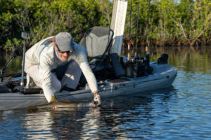 kayaker with a snook on the gulf of mexico near crystal river, florida.