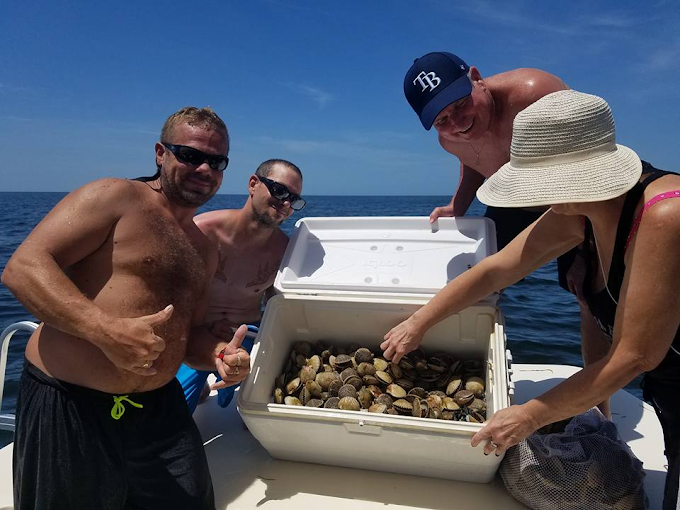 homosassa scalloping cooler homosassa scalloping cooler